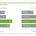 How to Easily Get Your Cricket ID Online: A Complete Step‑By‑Step Guide